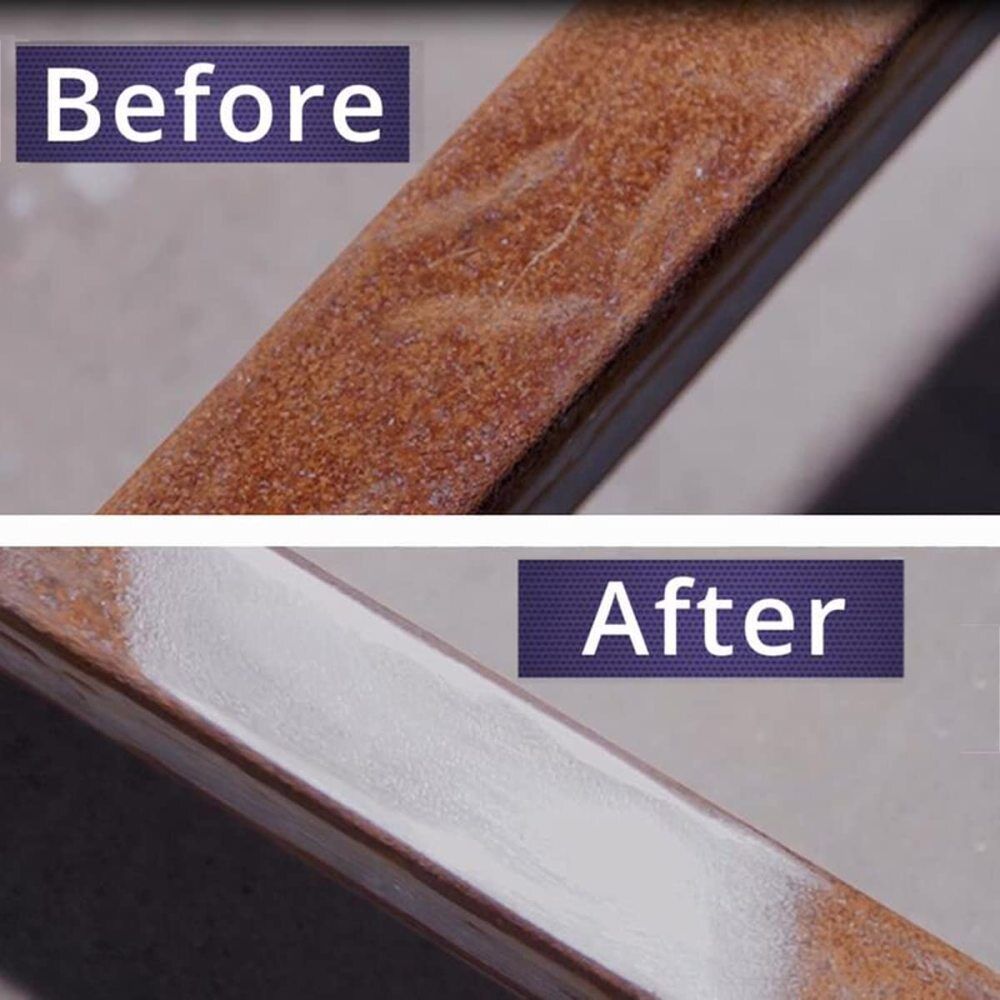 ब्रिसल डिस्क 1